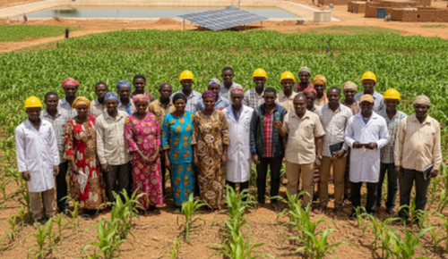 Togolese Firms Win XOF 1.39 Billion Contract for Agricultural Land Development...